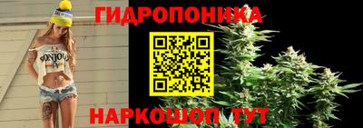 стафф Туймазы