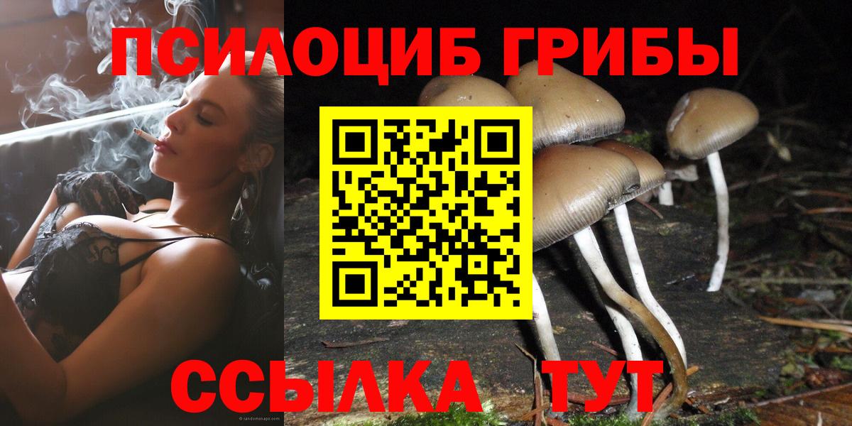 магазин    Вход с VPN  Городец  Псилоцибиновые грибы мухоморы  Галлюциногенные грибы Cubensis 