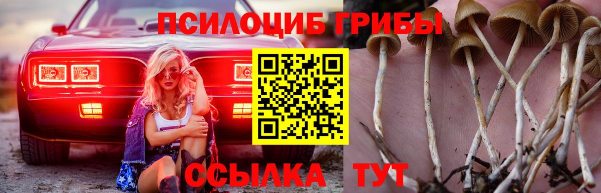 Псилоцибиновые грибы мицелий Городец